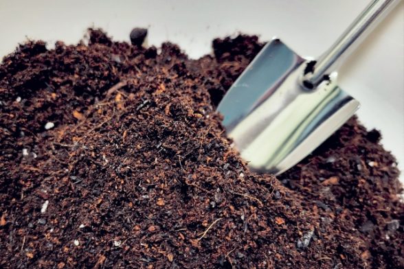 なぜ土葬ではなく火葬が必要か？  〜ペット火葬の本当の意味とメリットを専門的に解説〜