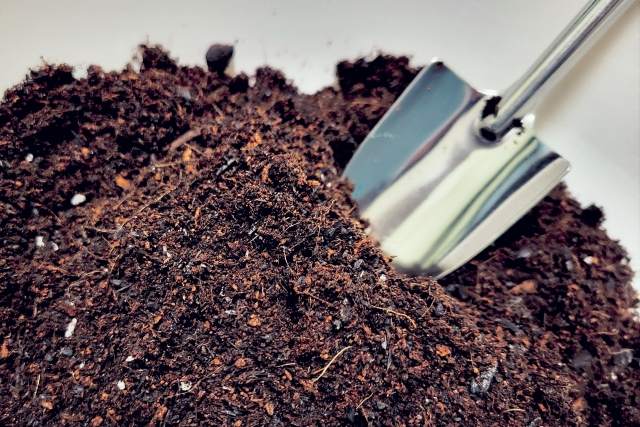 なぜ土葬ではなく火葬が必要か？  〜ペット火葬の本当の意味とメリットを専門的に解説〜