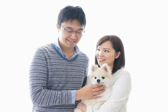 犬の生涯にかかる費用について  〜犬を飼う前に知っておくべき現実的な費用〜