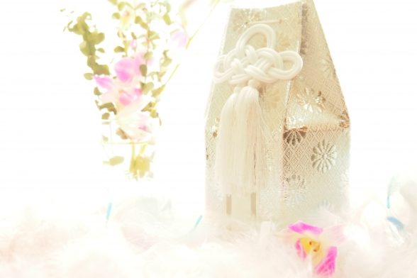 ペットの骨粗鬆症と火葬後の遺骨の関係｜お骨が残りにくい原因と対処法を専門家が解説