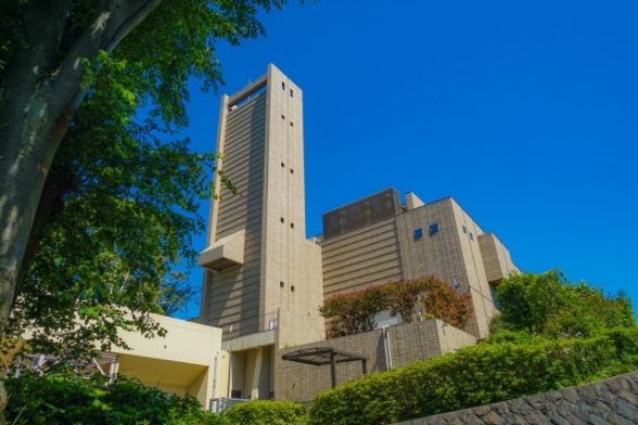 ペット火葬と市区町村（行政）への引き取りは何が違うの？それぞれの特徴を徹底比較